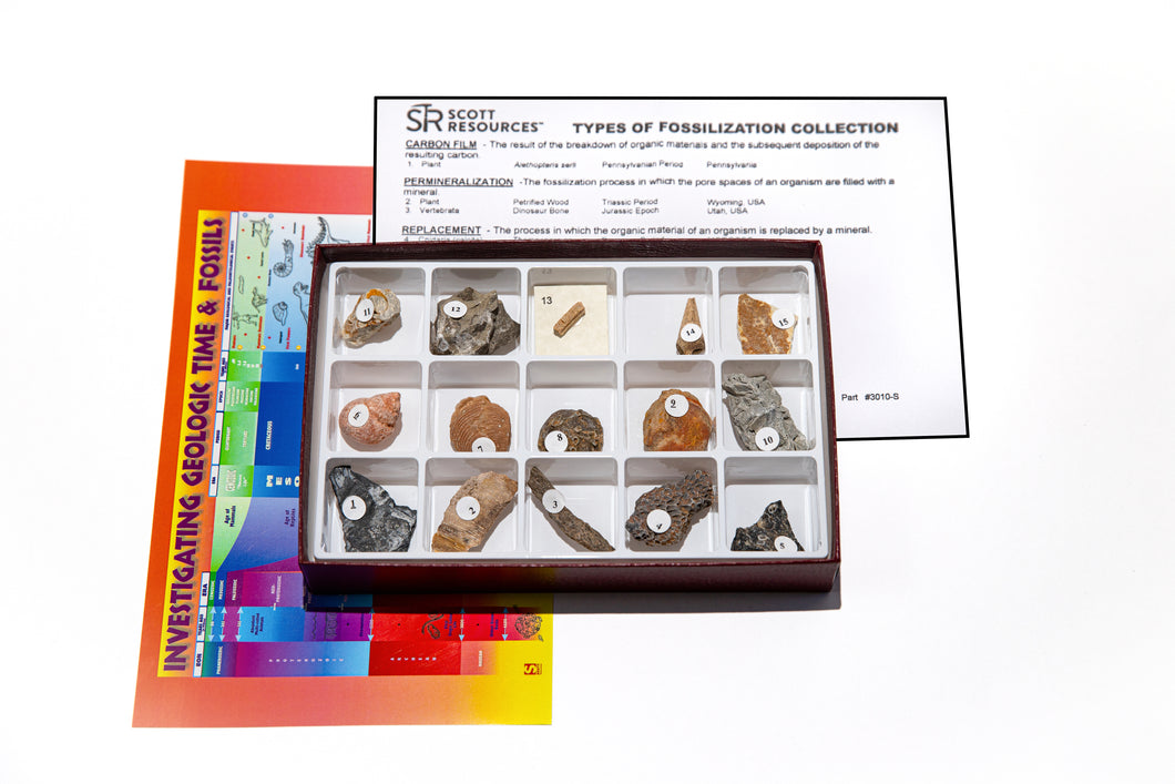 3010-S - TYPES OF FOSSILIZATION COLLECTION - 15 SPEC.