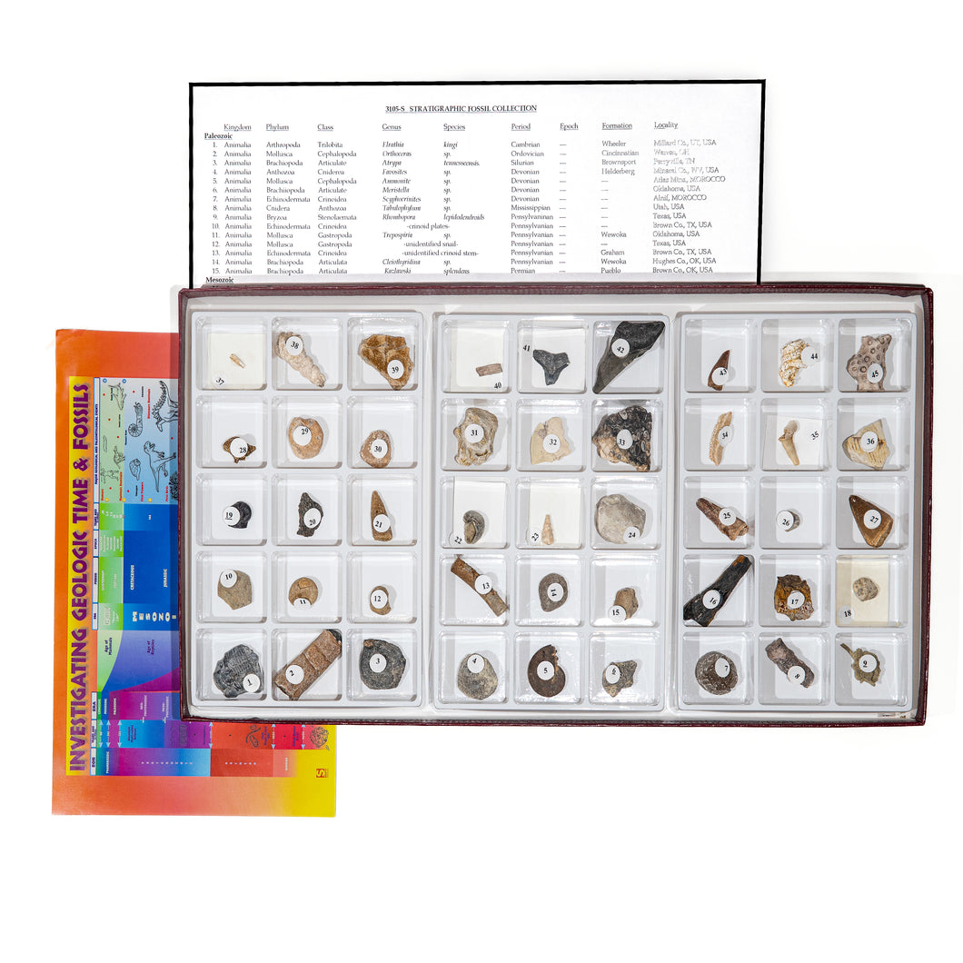 3105-S - STRATIGRAPHIC COLLECTION 45 SPEC.