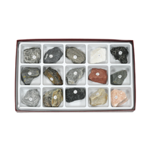 Load image into Gallery viewer, 2226 - METAMORPHIC ROCK COLLECTION - 15 SPEC.
