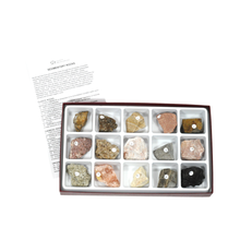 Load image into Gallery viewer, 2231 - SEDIMENTARY ROCK COLLECTION - 15 SPEC.
