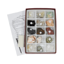 Load image into Gallery viewer, 2343 - ECONOMY MINERAL STUDY KIT - 15 SPEC.
