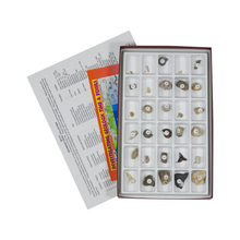 Load image into Gallery viewer, 3015-S - ADVANCED FOSSIL COLLECTION - 30 SPEC.
