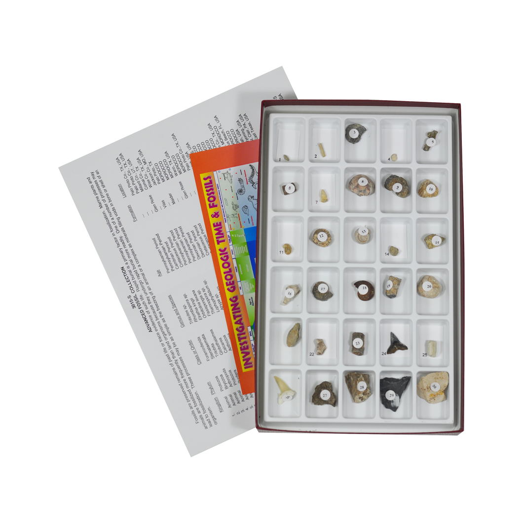 3015-S - ADVANCED FOSSIL COLLECTION - 30 SPEC.